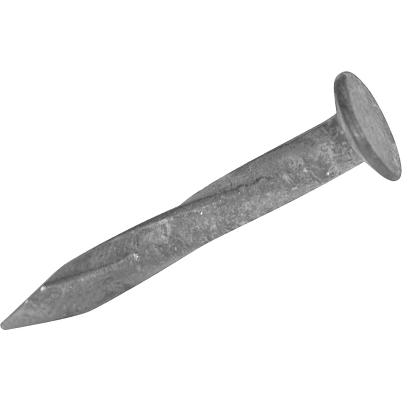 Galvanised Nails